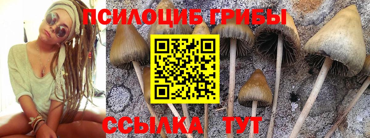 Псилоцибиновые грибы мицелий  Вход с VPN  где купить   Балтийск 